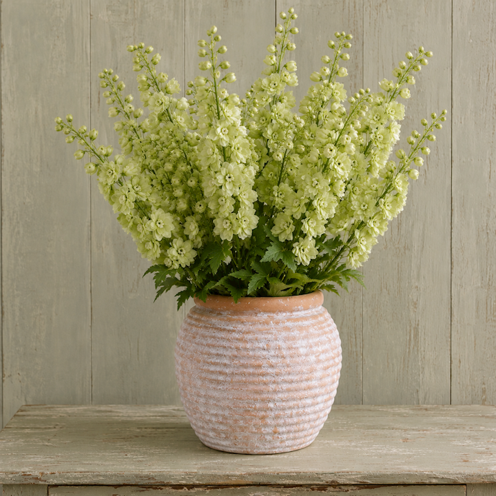 *TERRACOTTA RIBBED VASE 25x25x27cm